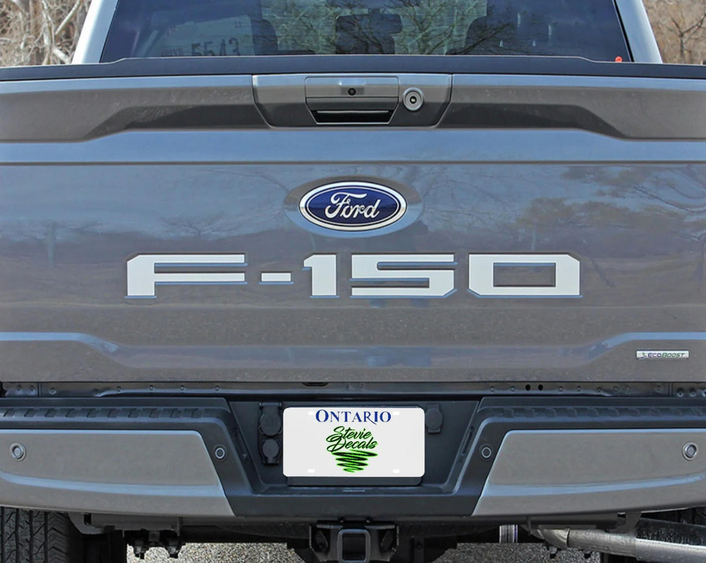 2018-2020 Ford F150 Tailgate Vinyl Lettering