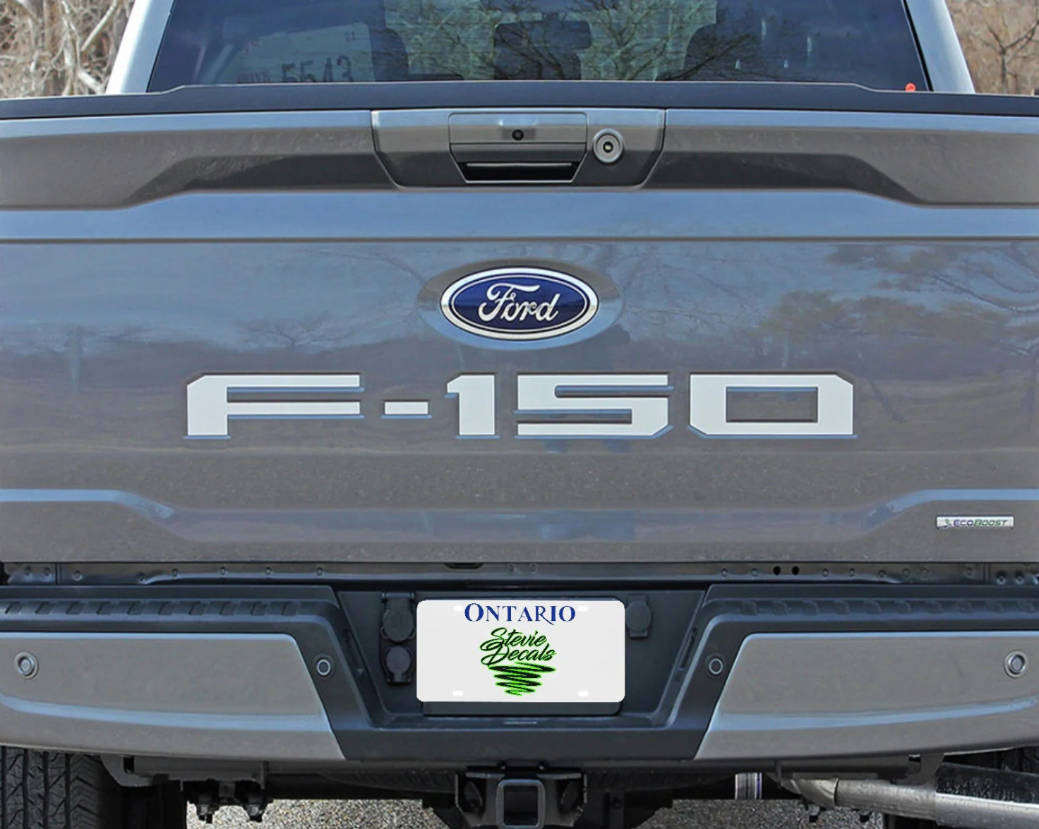 2018-2020 Ford F150 Tailgate Vinyl Lettering – StevieDecals